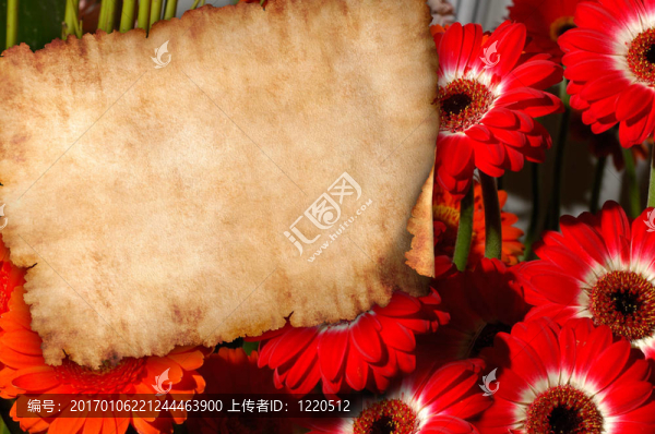 在花的復古背景紙信