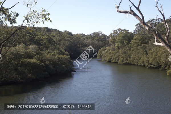 河