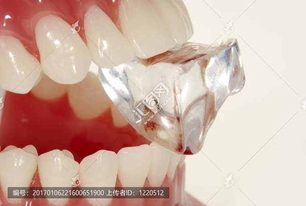 堅(jiān)硬的琺瑯質(zhì)