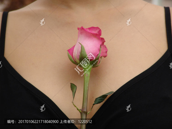 美論美-匯圖網(wǎng) www.fosd68.com 美論美