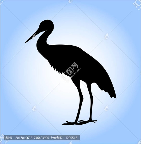 鸛