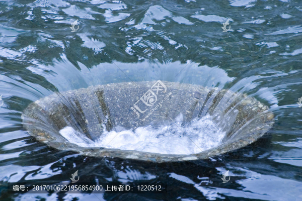 血本無(wú)歸