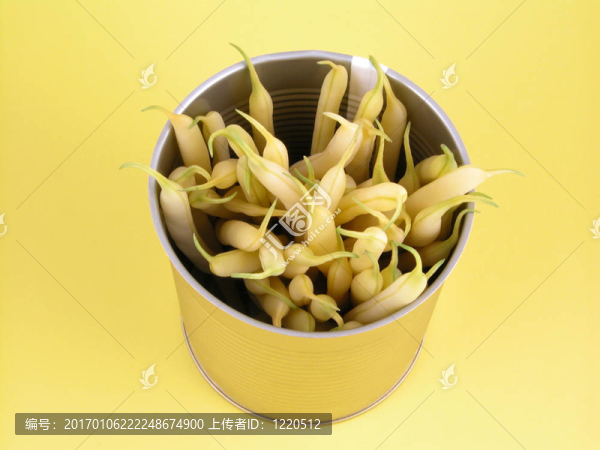 菜豆