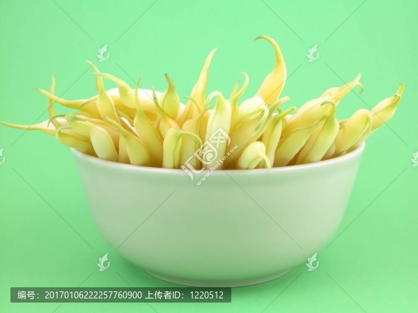 菜豆