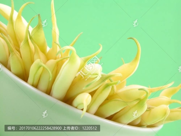 菜豆