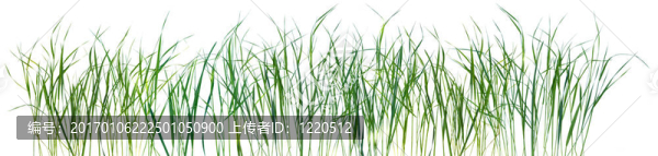草紋紋理隔離