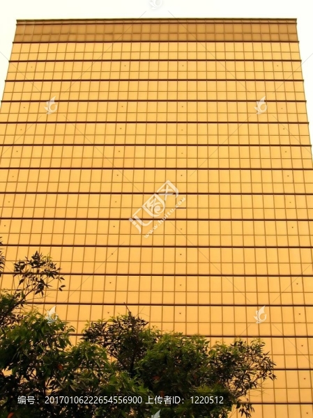 黃金門面