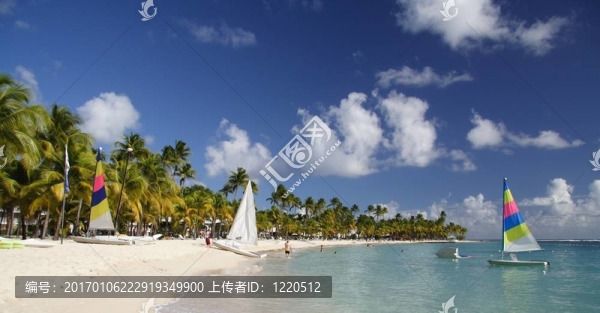 加勒比beachlife
