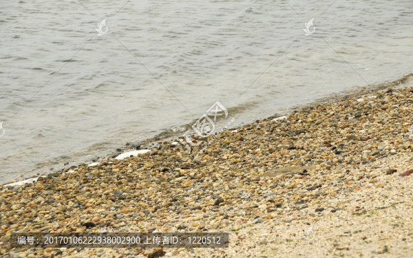 海灘