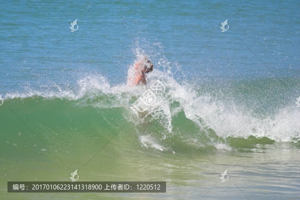 濺起
