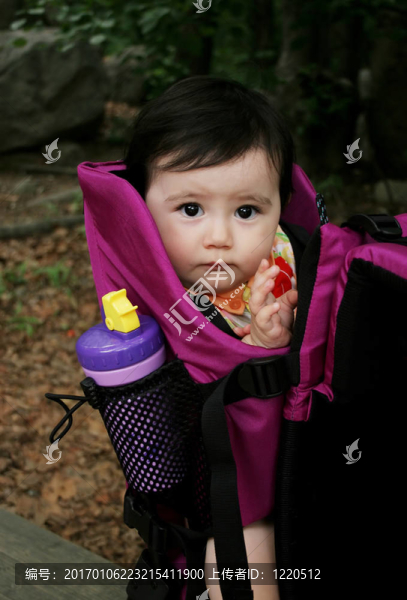 寶貝-匯圖網(wǎng) www.fosd68.com 寶貝