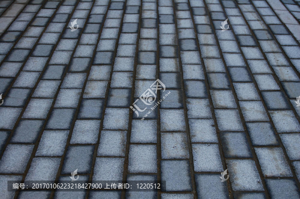 新的地板