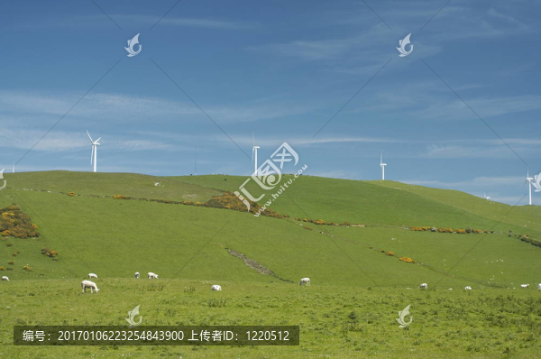 風(fēng)電場