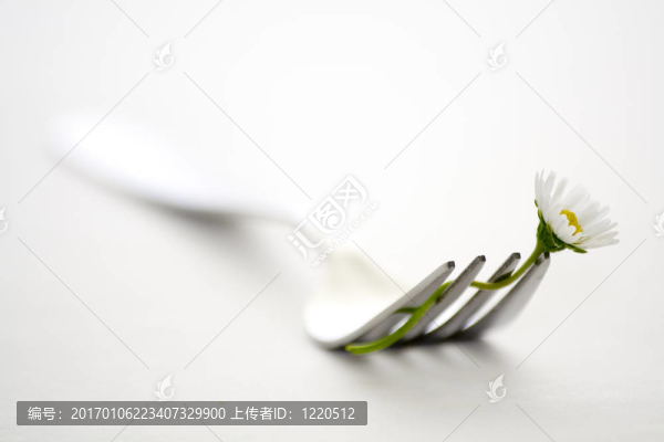 叉和花