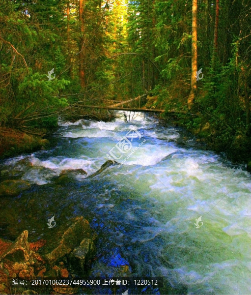 普林斯頓山流