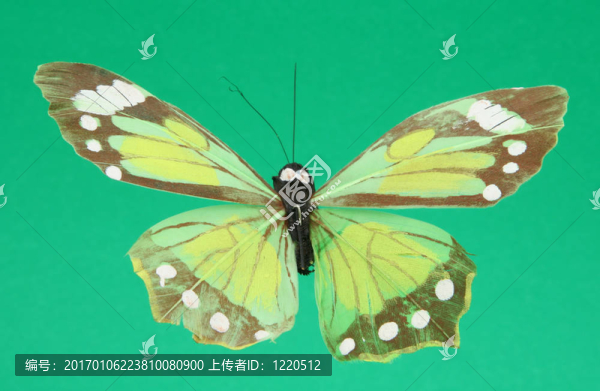 人工蝴蝶