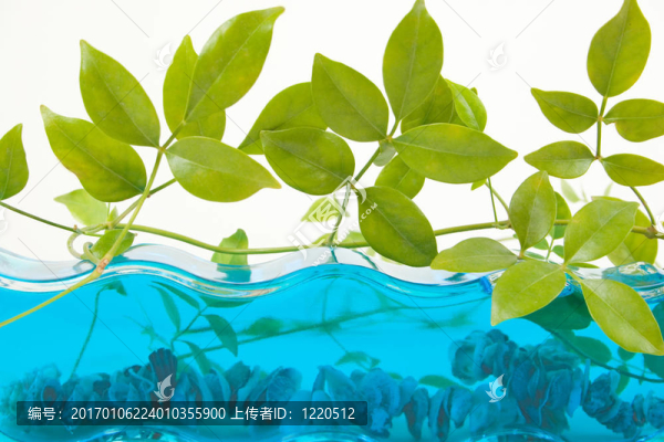水族裝飾品