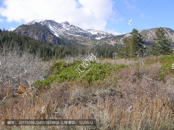猛犸山