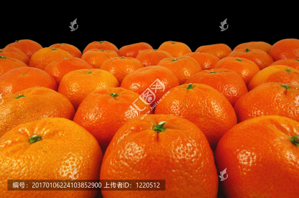 橘子