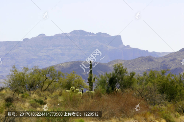 沙漠景觀