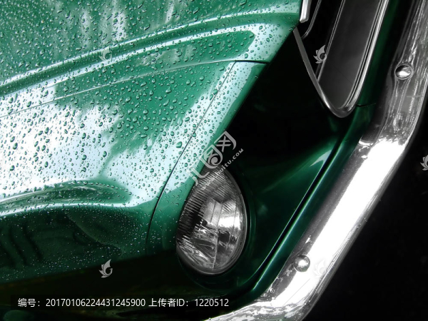 Mustang綠色的雨