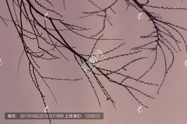 冰冷的摘要