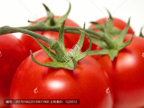 西紅柿的誘惑