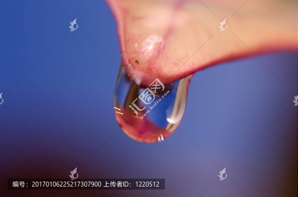 水滴