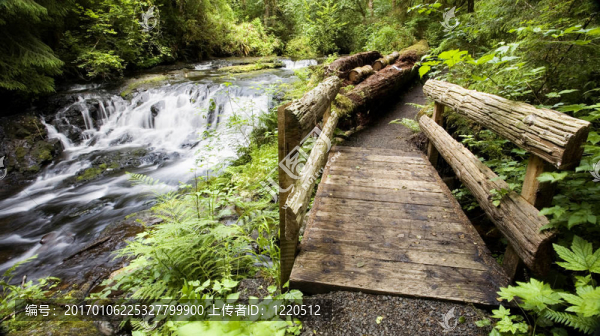 TRAIL；蚋溪