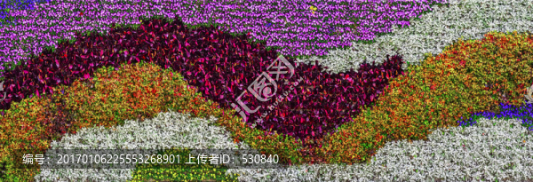 花墻,高清大畫幅