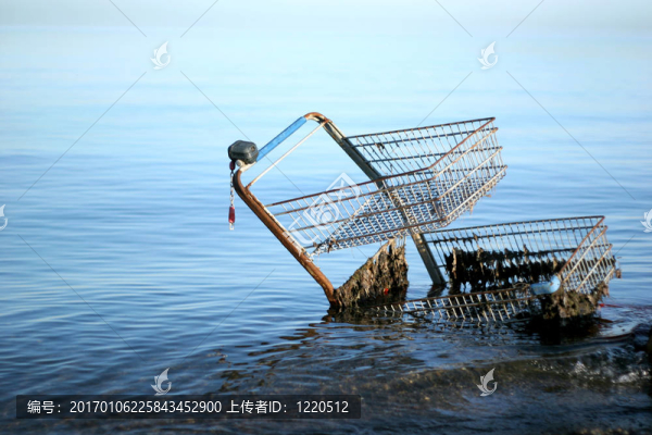 購物車