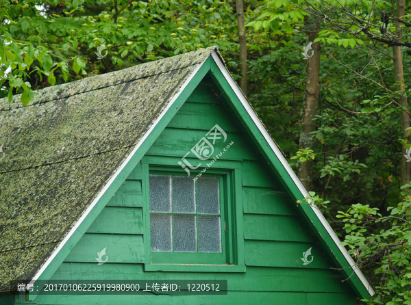 森林里的小屋
