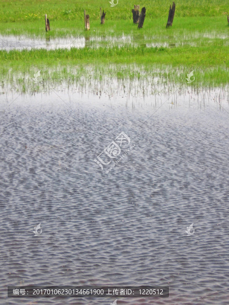 湖泊和沼澤