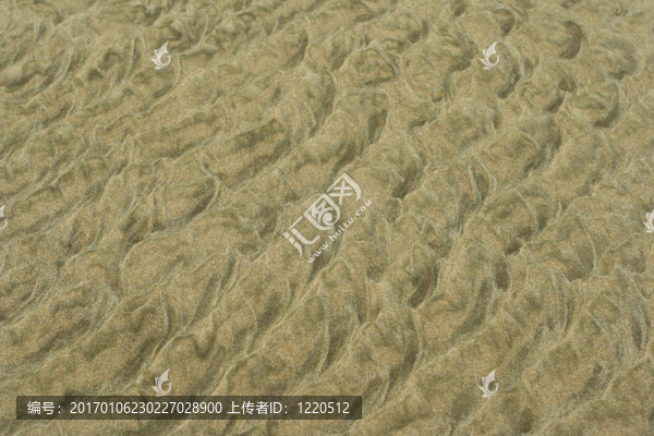 沙1型