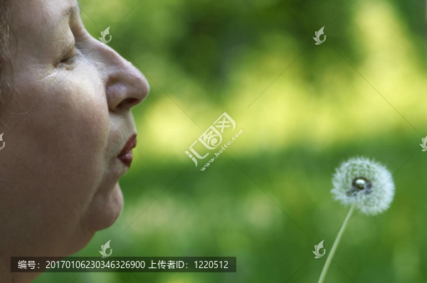 女人和蒲公英