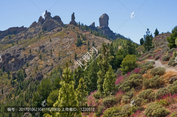 山上散步