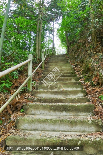 木坑竹海,階梯
