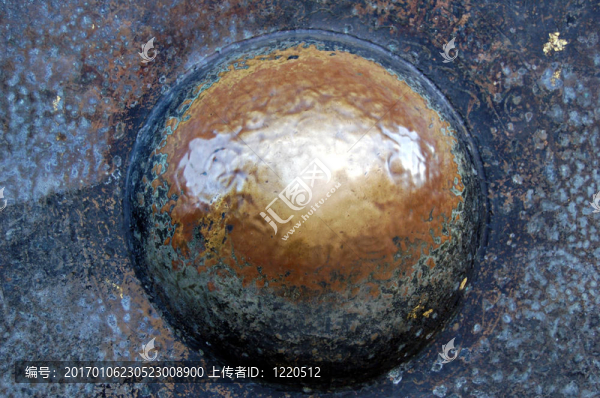 公-匯圖網(wǎng) www.fosd68.com 公