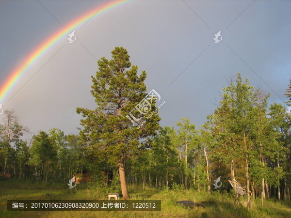 彩虹-匯圖網(wǎng) www.fosd68.com 彩虹