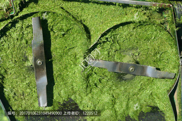 剪草機底