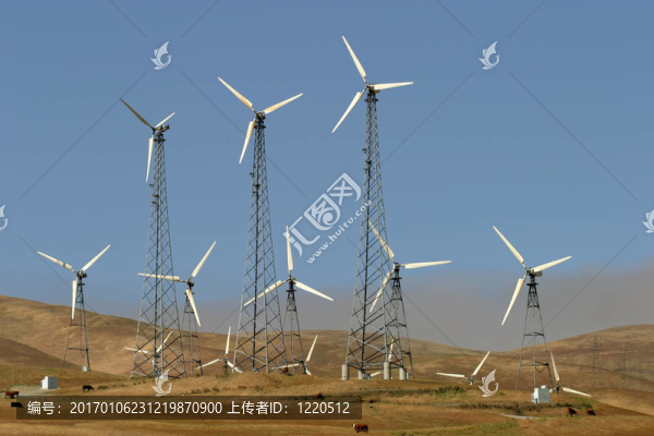 風力發(fā)電機；奶牛；污染
