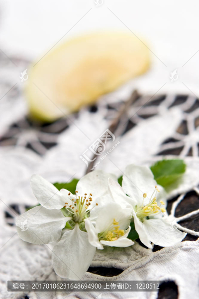 蘋果樹的開花
