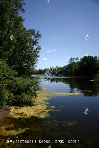 Pond,III