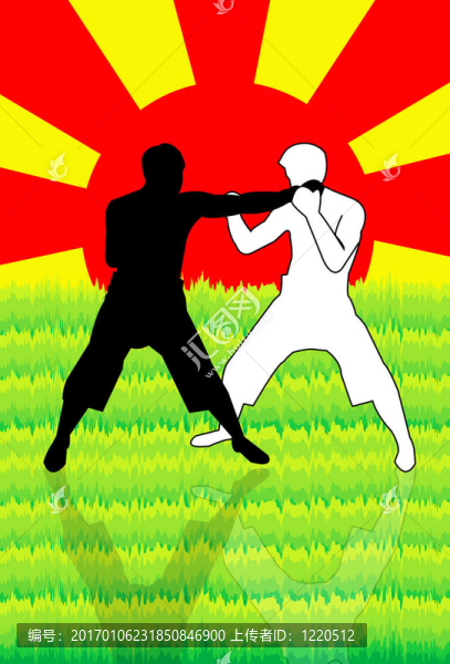 武術(shù)