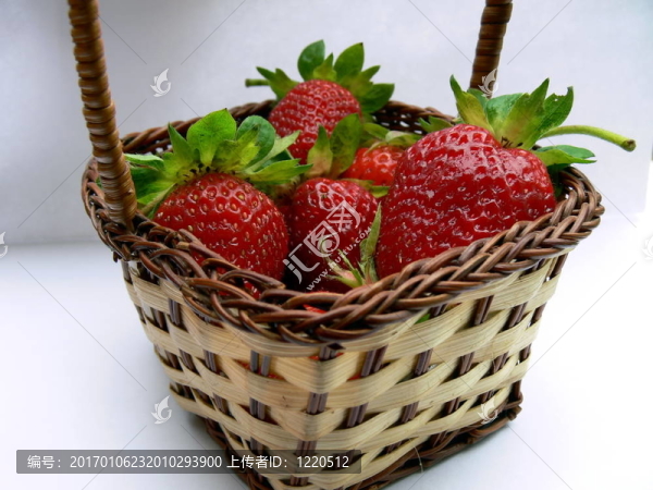 Strawberry的籃子里