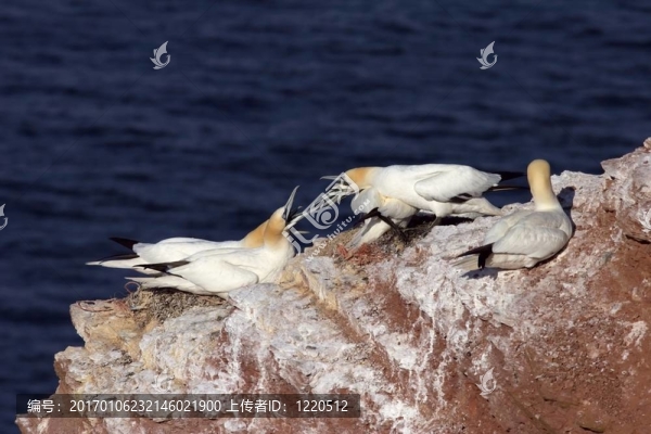 沖突-匯圖網(wǎng) www.fosd68.com 沖突