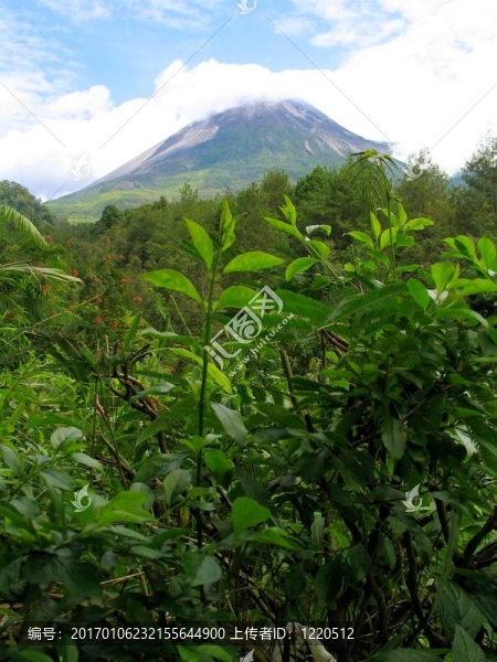默拉皮火山-匯圖網(wǎng) www.fosd68.com 默拉皮火山