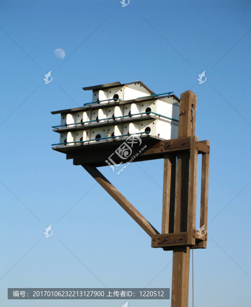 鳥(niǎo)的房子
