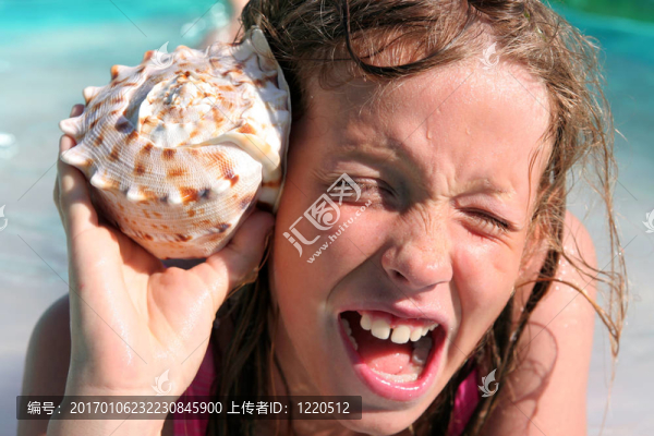 殼-匯圖網(wǎng) www.fosd68.com 殼