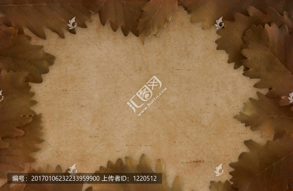 藝術(shù)的棕色背景